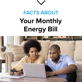 Facts About: Your Monthly Energy Bill